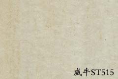 阿姆斯壯