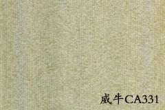 阿姆斯壯